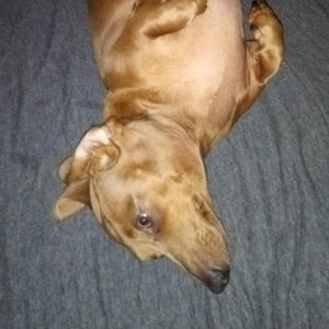 Meet your Posher, Brandon bryant